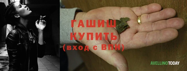гидра Гусиноозёрск