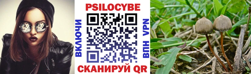 как найти закладки  Лобня  Псилоцибиновые грибы Cubensis 